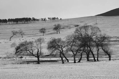 Pham nhan bi xu toi luu day, tai sao khong ai thua co bo tron?
