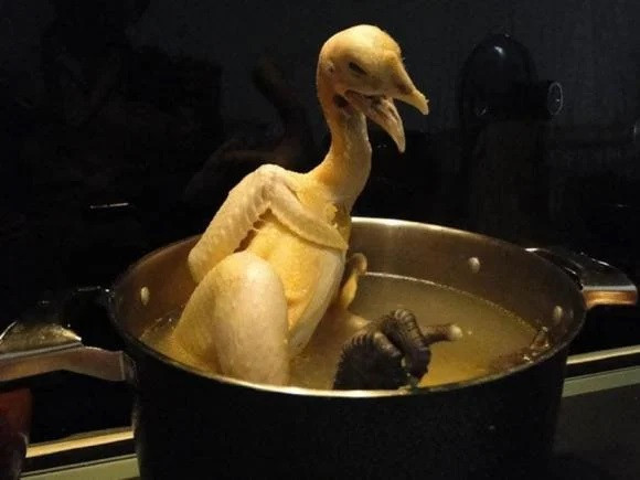 Khoe anh mam ga cung, co gai khien dan tinh ngao ngan-Hinh-5