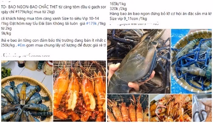 Tao Nhat gia 1,5 trieu/kg, buoi Viet Nam gia 9.000 dong/qua-Hinh-2