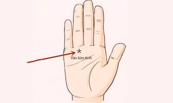 Ban tay co 6 net nay “phuc khi” day nha-Hinh-2
