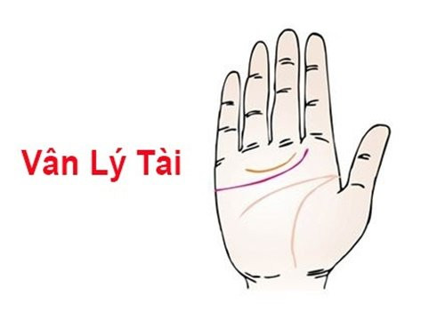 Ban tay co 6 net nay “phuc khi” day nha