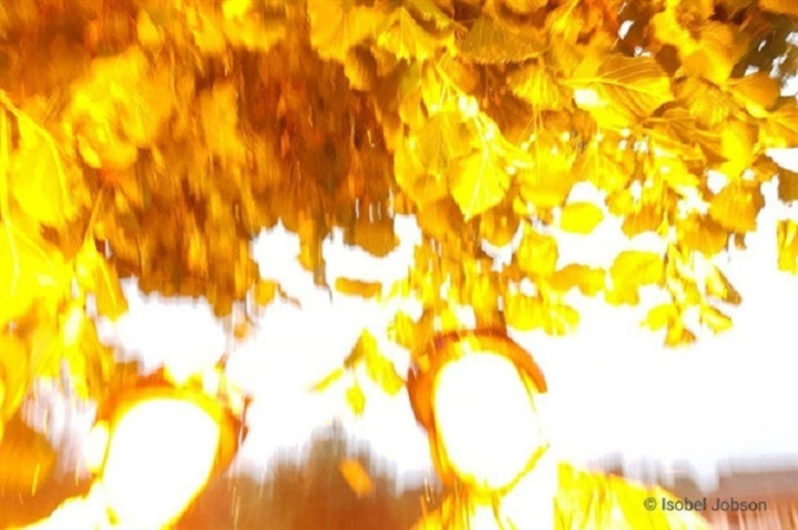 Khoanh khac 3 chi em bi set danh trung