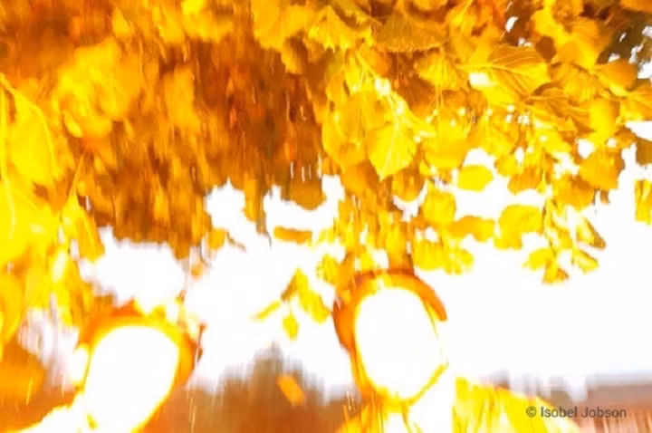 Khoanh khac 3 chi em bi set danh trung