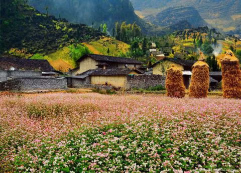 Làng văn hóa du lịch Lũng Cẩm là nơi khởi nguồn sáng tác cho nhiều tác phẩm nghệ thuật, đã được chọn làm bối cảnh trong phim điện ảnh “Chuyện của Pao”. Bộ phim từng đoạt giải thưởng Cánh diều vàng của Hội Điện ảnh Việt Nam. Ảnh: Dulichhagiang.vn.