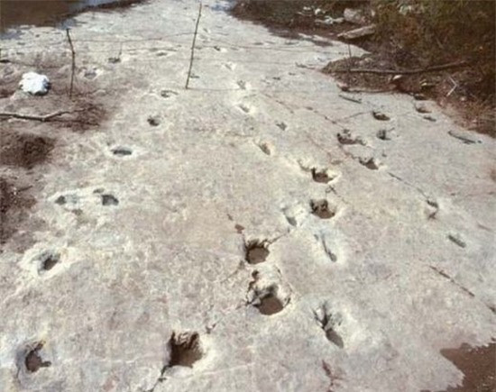 Những bí ẩn mà khoa học chưa thể giải thích ảnh 4