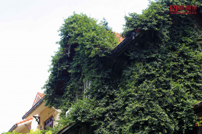 br/> Phần tầng cao nhất cũng được lớp cây xanh phủ kín.