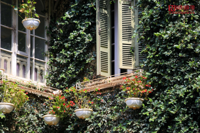 br/> Nhiều người ví căn biệt thự phủ kín cây xanh như một vườn sinh thái thu nhỏ giữa lòng Hà Nội.