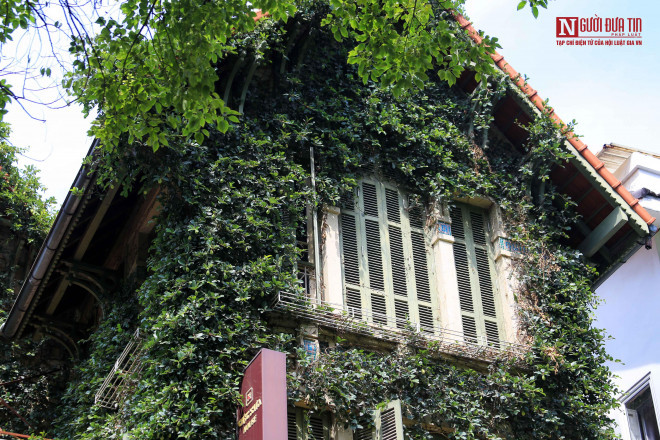 br/> Lớp tường cây xanh bao quanh nhà gồm nhiều loại cây như: trạng nguyên, trầu bà, trường xuân...Trong đó, nhiều nhất là cây vảy ốc hay còn gọi là cây thằn lằn. 