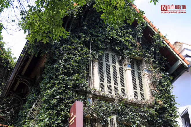 br/> Lớp tường cây xanh bao quanh nhà gồm nhiều loại cây như: trạng nguyên, trầu bà, trường xuân...Trong đó, nhiều nhất là cây vảy ốc hay còn gọi là cây thằn lằn. 