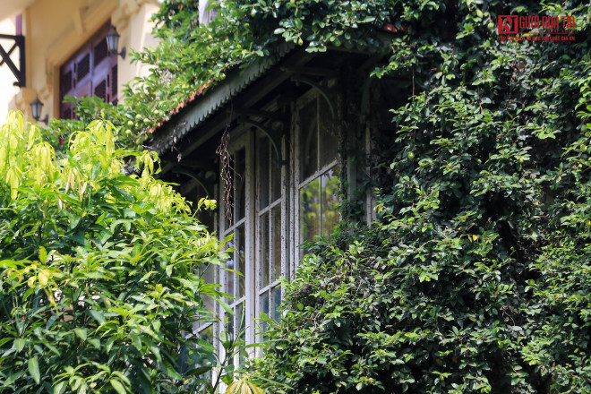 br/> Thậm chí phủ kín cả cửa sổ của căn nhà.
