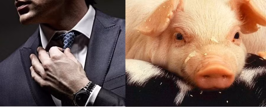 Nam gioi cam tinh con giap nay la nguoi nhieu tham vong-Hinh-2