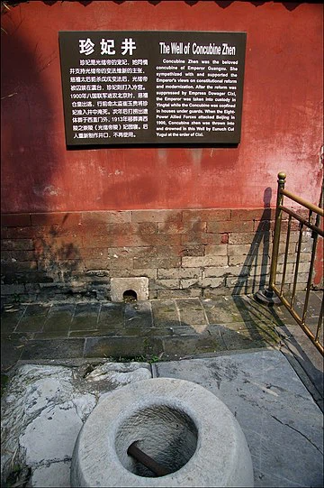 Phi tan duoc Quang Tu de sung ai bi Tu Hi Thai hau xu tu the nao?-Hinh-3