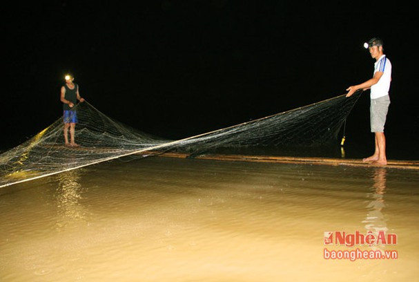 5 loai ca dac san nao quy hiem nhat o mien Tay tinh Nghe An