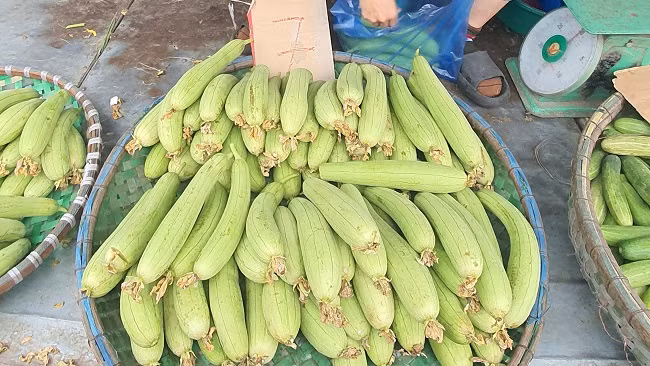 500 nghin mua duoc thuc an ca tuan, nguoi dan do xo di cho dau moi-Hinh-6