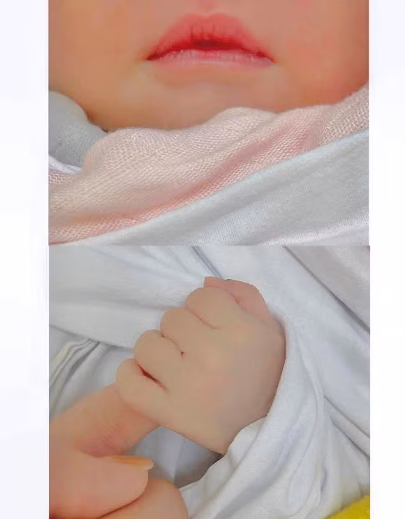 Phu nhan tap doan nghin ty Phanh Lee khoe anh hiem ve ai nu-Hinh-2