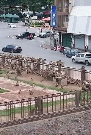 Khu tham quan vang khach mua COVID-19, khi tran xuong pho hon chien gianh do an-Hinh-3