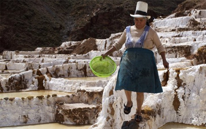 Đồng muối ở Maras có tới hơn 5.000 ô muối, mỗi ô chỉ khoảng 4m2, nhưng các diêm dân Peru không bao giờ nhầm lẫn ô muối của họ. (Ảnh: SCMP)