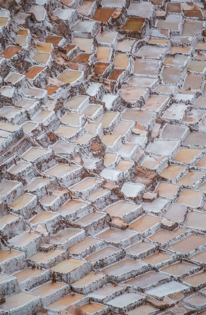 Cách làm những ô muối này cũng tương tự như ruộng bậc thang ở Việt Nam. (Ảnh: Bored Panda)