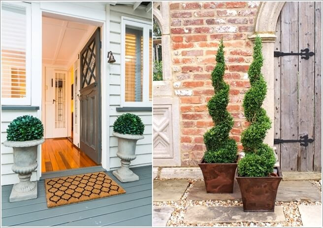 3 vi tri dat cay canh phong thuy trong nha giup an nen lam ra