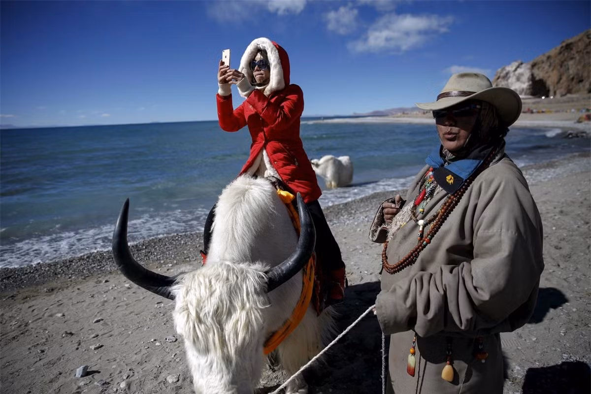 Cưỡi bò Tây Tạng là một hoạt động chủ yếu của các du khách.