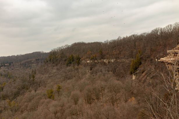 Nhom du khach phat hien thu rung minh trong khu bao ton-Hinh-2