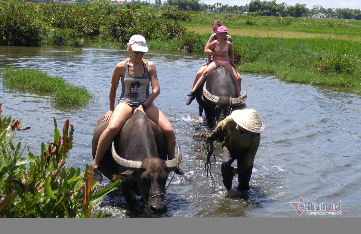 Ru Tay ra dong cuoi trau, dan Hoi An thu tien do-Hinh-7