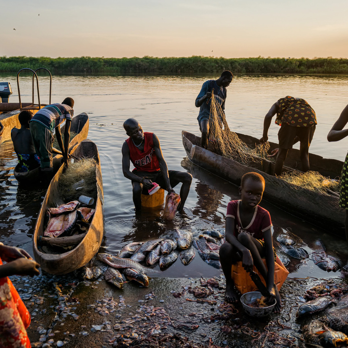 Giải mã tai ương kích hoạt "ổ rắn độc" tràn lan khắp nơi - Hình 3 Giai ma tai uong kich hoat