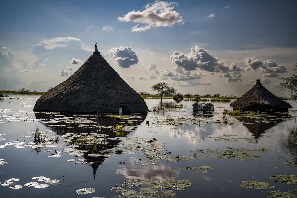 Giải mã tai ương kích hoạt "ổ rắn độc" tràn lan khắp nơi - Hình 2 Giai ma tai uong kich hoat