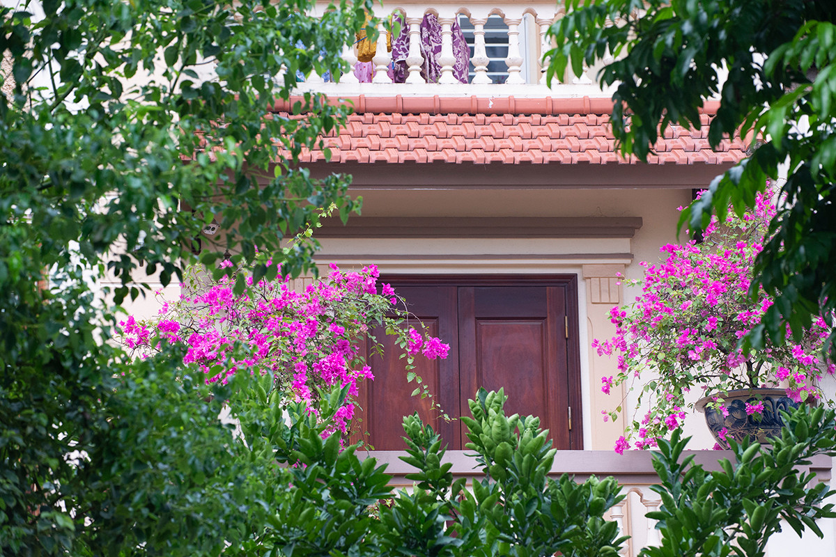 Ngôi nhà có mặt tiền hoa giấy cực lãng mạn khiến ai nhìn cũng mê - Hình 13 Ngoi nha co mat tien hoa giay cuc lang man khien ai nhin cung me-Hinh-13