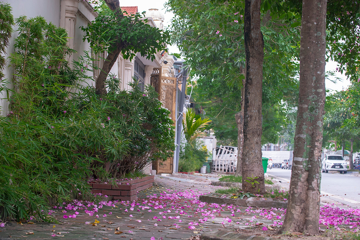 Ngôi nhà có mặt tiền hoa giấy cực lãng mạn khiến ai nhìn cũng mê - Hình 10 Ngoi nha co mat tien hoa giay cuc lang man khien ai nhin cung me-Hinh-10