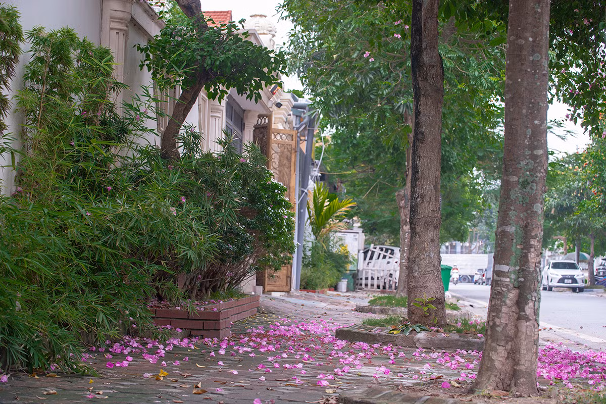 Ngoi nha co mat tien hoa giay cuc lang man khien ai nhin cung me-Hinh-10