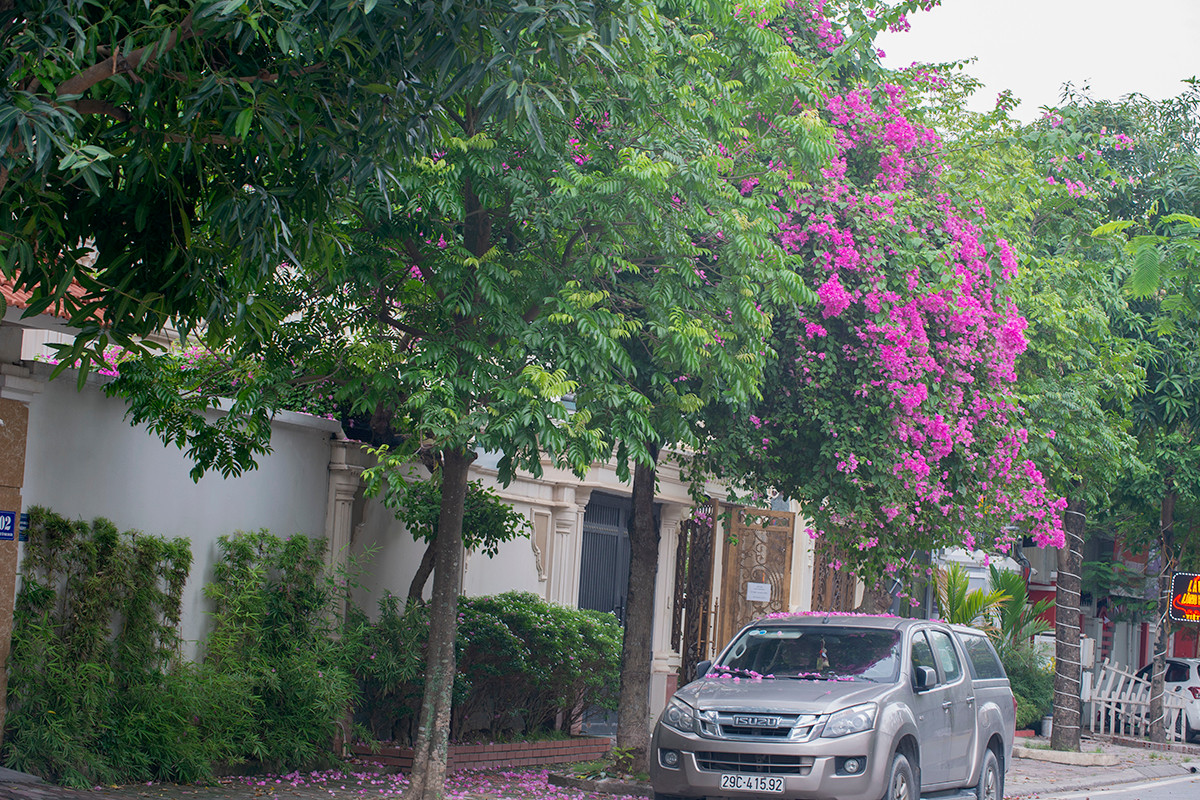 Ngôi nhà có mặt tiền hoa giấy cực lãng mạn khiến ai nhìn cũng mê - Hình 9 Ngoi nha co mat tien hoa giay cuc lang man khien ai nhin cung me-Hinh-9