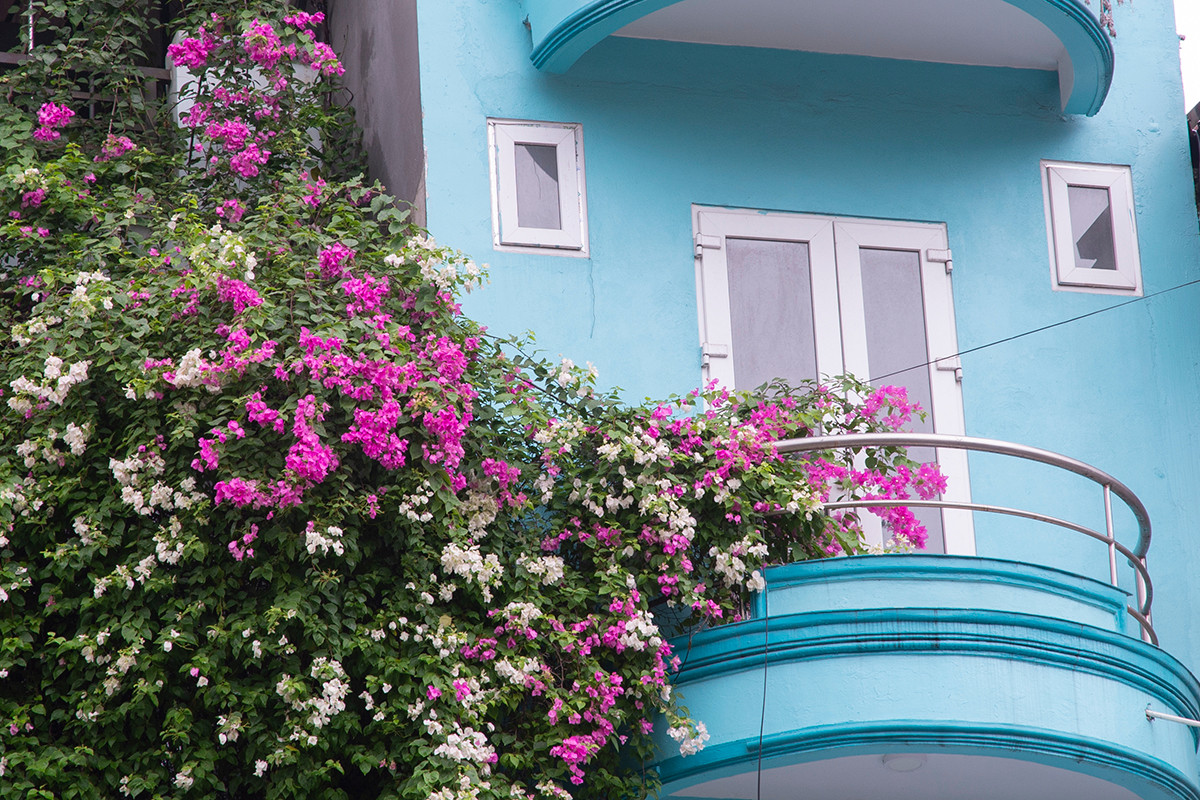 Ngôi nhà có mặt tiền hoa giấy cực lãng mạn khiến ai nhìn cũng mê - Hình 14 Ngoi nha co mat tien hoa giay cuc lang man khien ai nhin cung me-Hinh-14