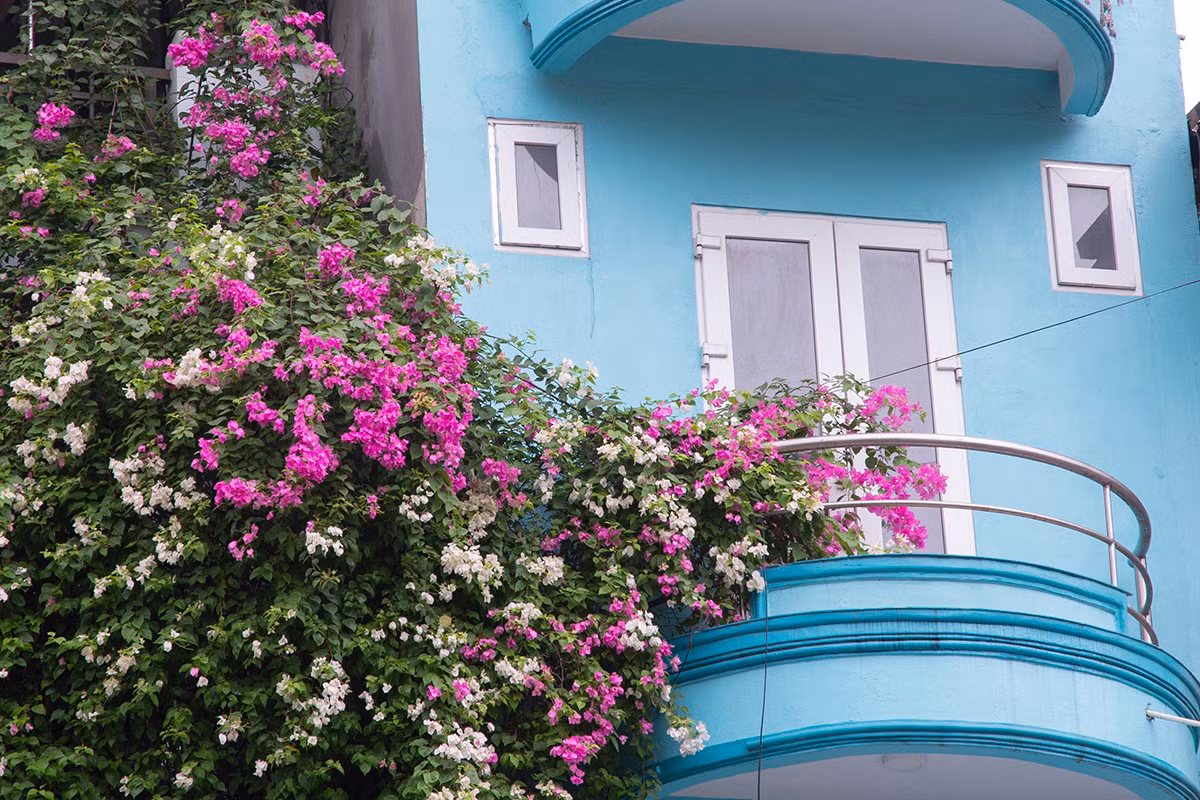 Ngoi nha co mat tien hoa giay cuc lang man khien ai nhin cung me-Hinh-14