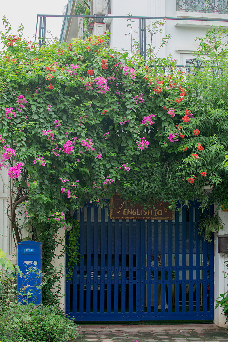 Ngôi nhà có mặt tiền hoa giấy cực lãng mạn khiến ai nhìn cũng mê - Hình 6 Ngoi nha co mat tien hoa giay cuc lang man khien ai nhin cung me-Hinh-6