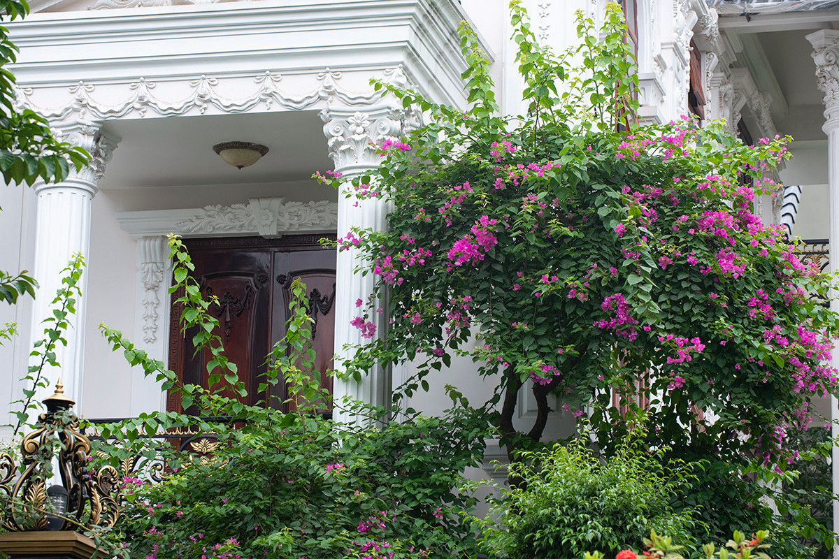 Ngôi nhà có mặt tiền hoa giấy cực lãng mạn khiến ai nhìn cũng mê - Hình 8 Ngoi nha co mat tien hoa giay cuc lang man khien ai nhin cung me-Hinh-8