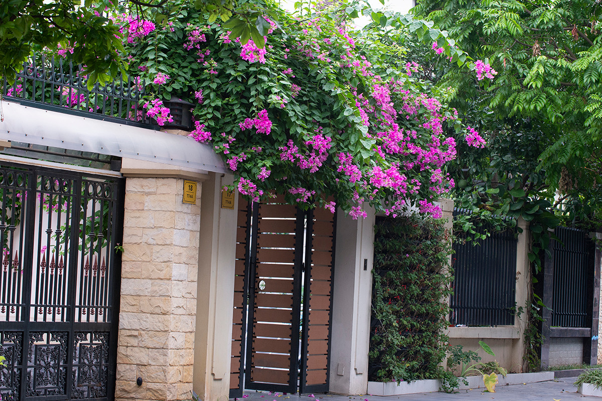 Ngôi nhà có mặt tiền hoa giấy cực lãng mạn khiến ai nhìn cũng mê - Hình 4 Ngoi nha co mat tien hoa giay cuc lang man khien ai nhin cung me-Hinh-4