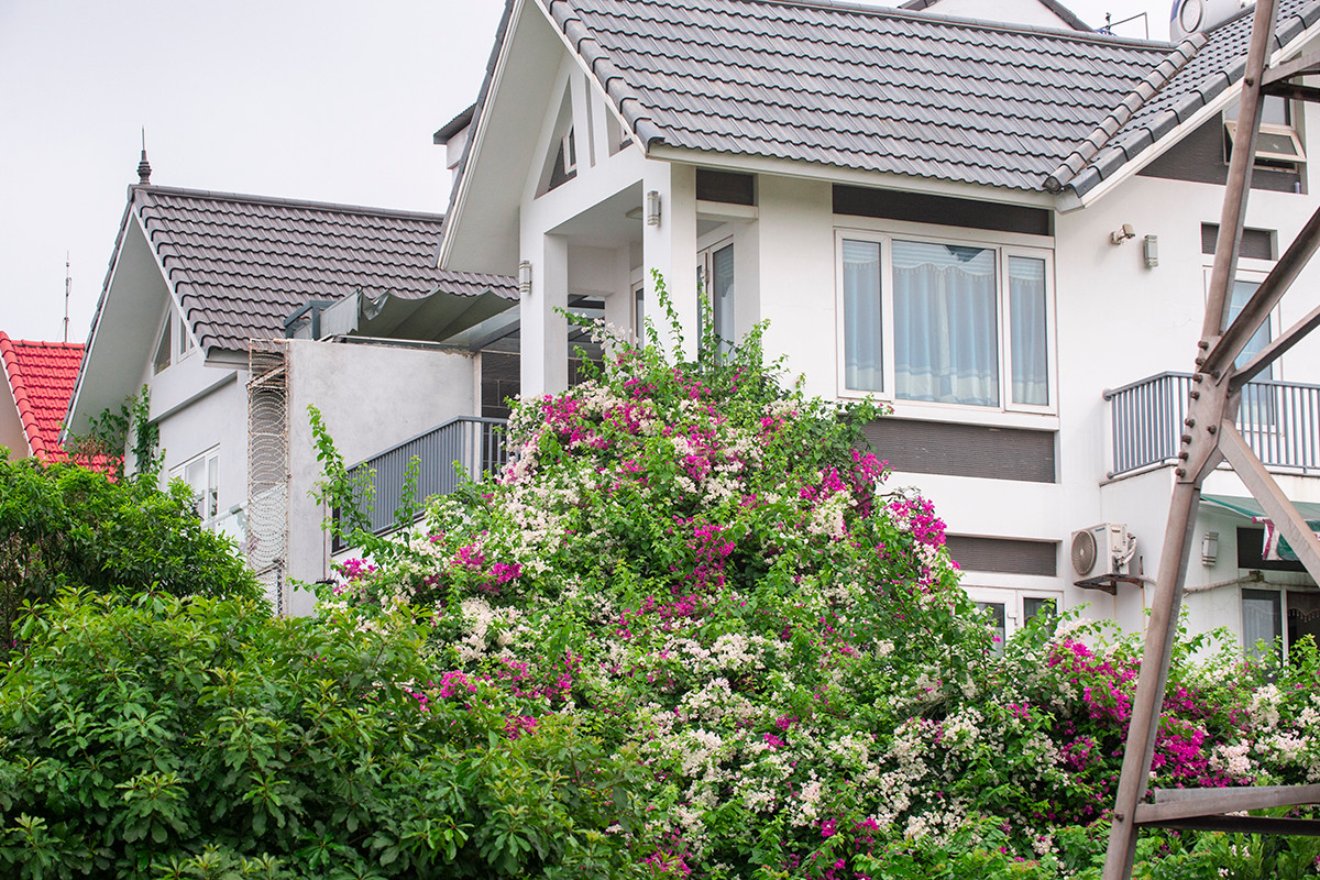 Ngôi nhà có mặt tiền hoa giấy cực lãng mạn khiến ai nhìn cũng mê - Hình 15 Ngoi nha co mat tien hoa giay cuc lang man khien ai nhin cung me-Hinh-15