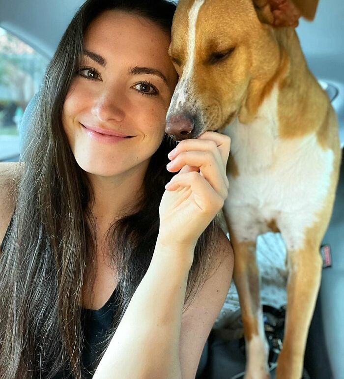 Cô mở cửa và chú chó - sau này được đặt tên Camper - không ngần ngại leo lên xe. Nikki và mẹ đưa Camper đến trạm cứu hộ động vật gần nhất, và trên đường đi họ hỏi han xem có ai nhận ra Camper hay không. Không ai nhận ra chú chó, nên họ trả tiền chăm sóc, tiêm chủng cho Camper và để chú ở lại trung tâm nghỉ ngơi, hồi phục.