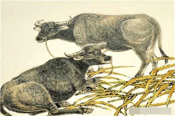 Đồng thời, những người thuộc chi Trâu sẽ đã đạt được nhân đôi tài sản, sự nghiệp hanh thông. 