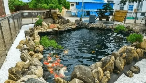 Lam ho ca trong san nha hinh gi thi co the phat tai?-Hinh-3