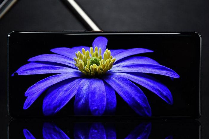 Vivo iQOO 8 Pro 5G được trang bị màn hình AMOLED E5 của Samsung với 1 tỷ màu, kích thước 6,78 inch, độ phân giải 2K Plus (3.200x1.440 pixel) cho mật độ điểm ảnh 517 ppi.