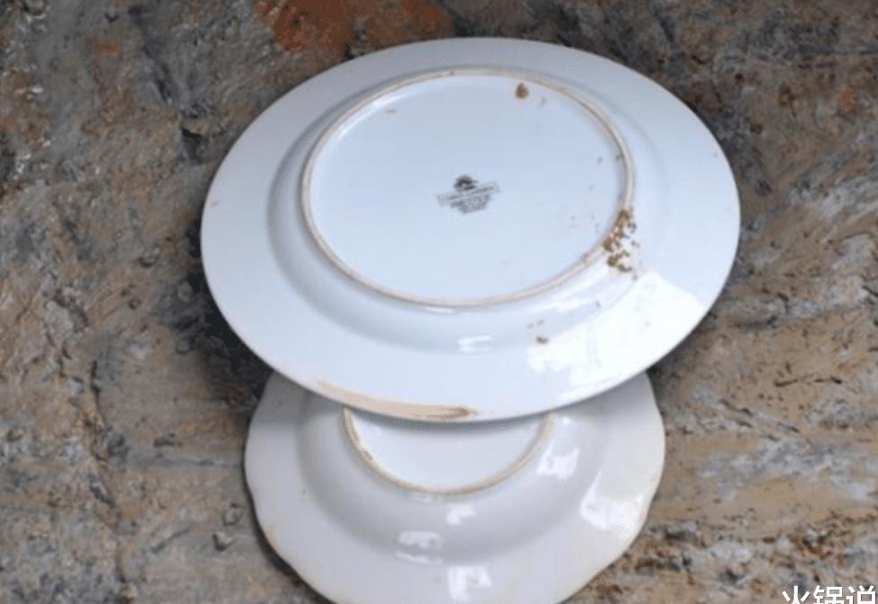 Tim thay 2 chiec dia su trong mo co, chuyen gia dap vo ngay lap tuc-Hinh-2