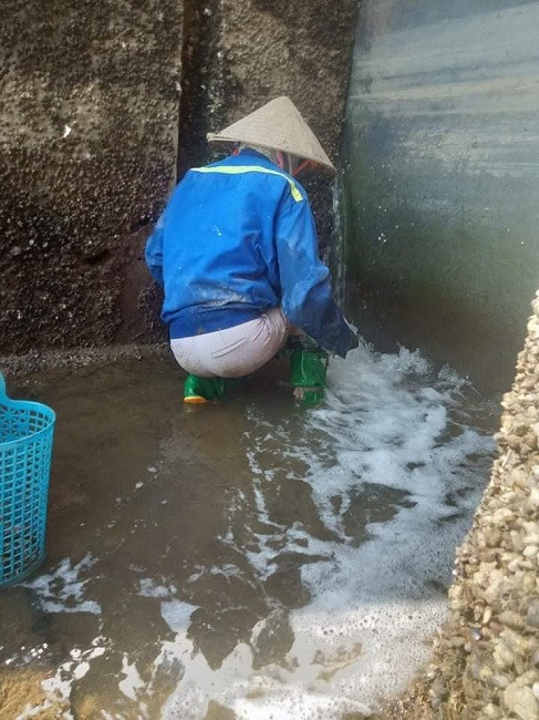 That nghiep vi Covid-19: Le tan du thuyen hang sang di mo cua bat oc-Hinh-2