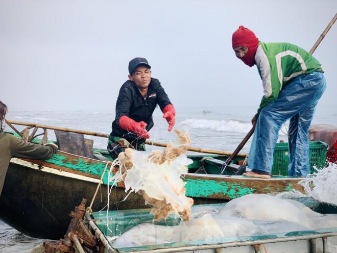 Mua sua bien, ngu dan kiem tien trieu moi ngay-Hinh-3