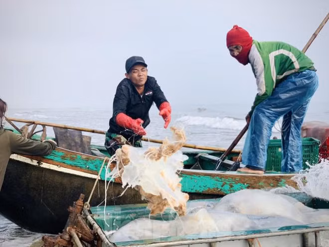 Mua sua bien, ngu dan kiem tien trieu moi ngay-Hinh-3