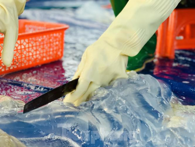 Mua sua bien, ngu dan kiem tien trieu moi ngay-Hinh-19