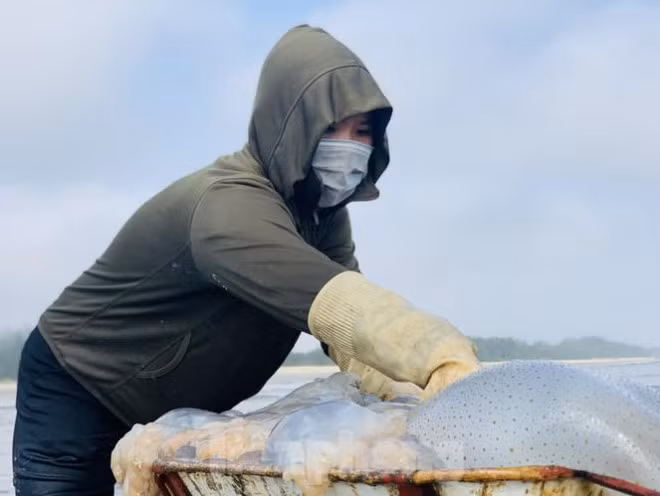 Mua sua bien, ngu dan kiem tien trieu moi ngay-Hinh-9