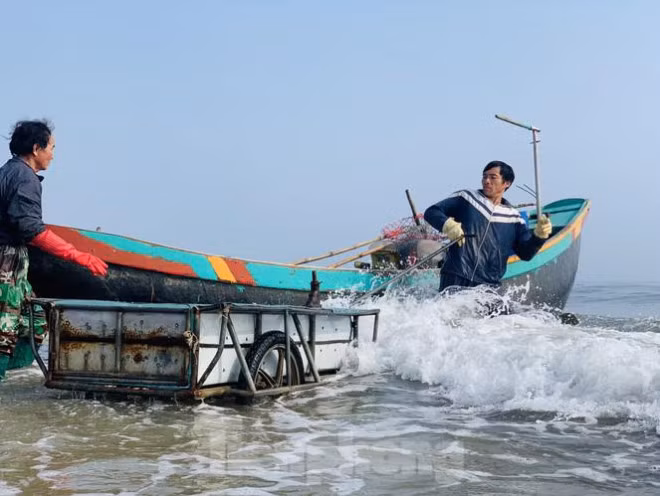 Mua sua bien, ngu dan kiem tien trieu moi ngay