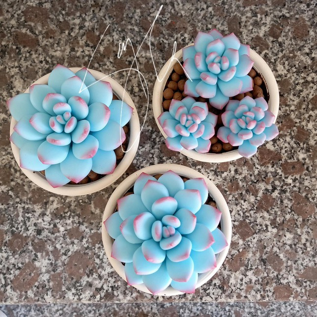 Co nang 9X voi dam me lam sen da bang dat set-Hinh-2